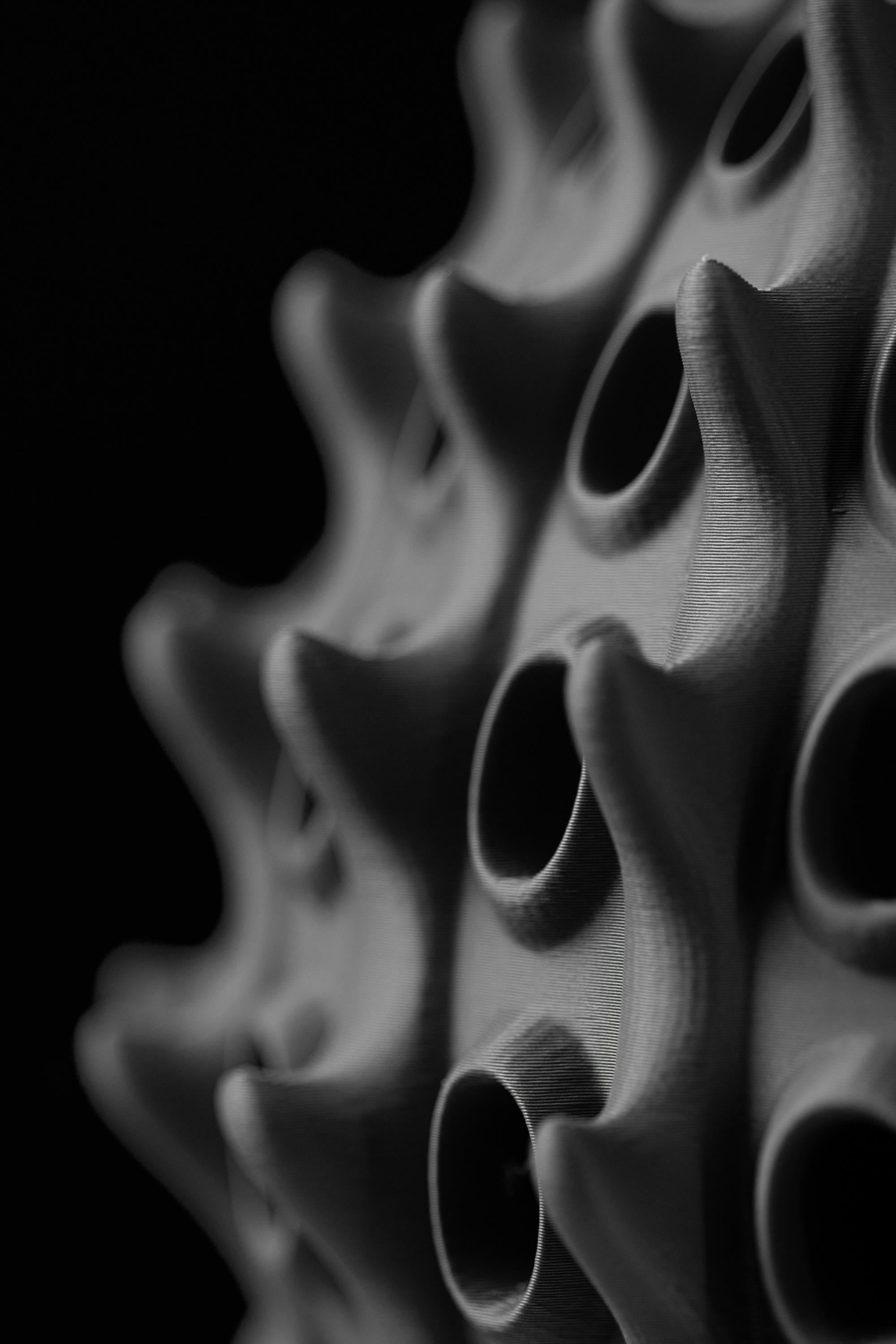 BARNACLE Lamp – Organic Sculptural 3D Printed Designer Light, Textured Home Decor Lighting (etsy image id: 7865046178)